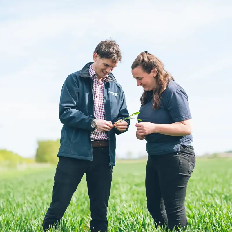 Two colleagues inspecting a field